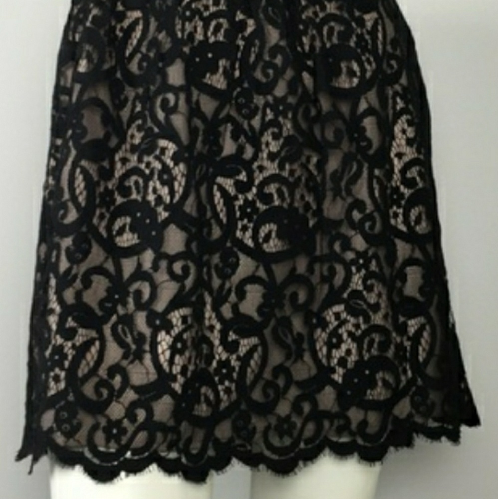 Ann Taylor Loft